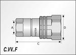 Foto Samice (female) VV